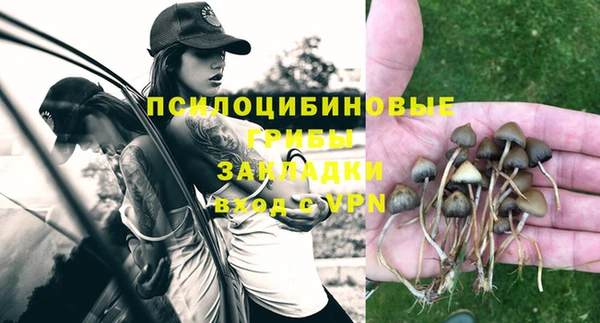 спиды Богородск